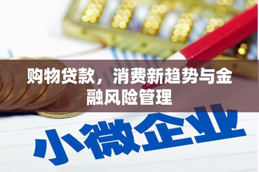 洮南购物贷款，消费新趋势与金融风险管理