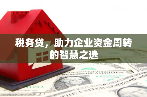 麟洛税务贷，助力企业资金周转的智慧之选