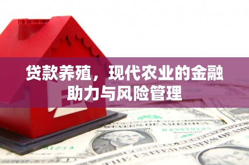 滨海贷款养殖，现代农业的金融助力与风险管理