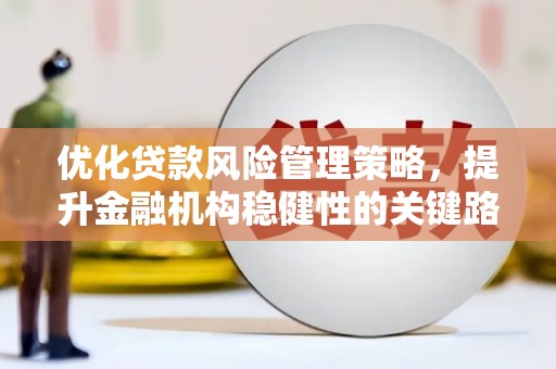 新会优化贷款风险管理策略，提升金融机构稳健性的关键路径