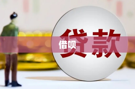 龙崎借呗