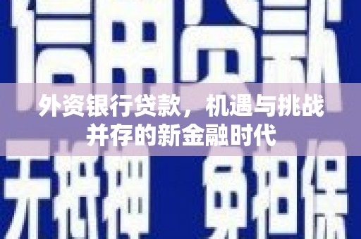 田林外资银行贷款，机遇与挑战并存的新金融时代