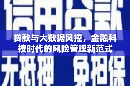 花地玛堂区贷款与大数据风控，金融科技时代的风险管理新范式