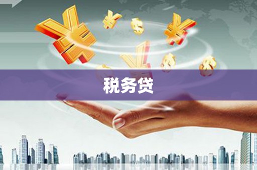 乡城税务贷