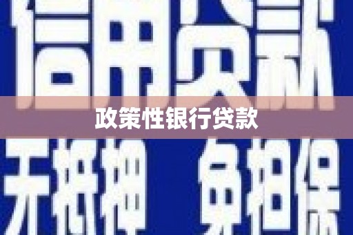 会同政策性银行贷款