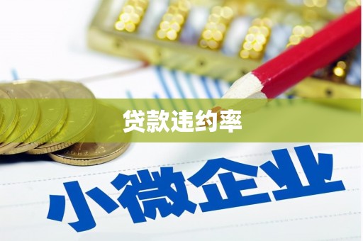 抚远贷款违约率