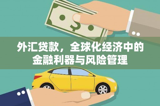 清河外汇贷款，全球化经济中的金融利器与风险管理