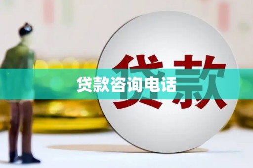 新园贷款咨询电话