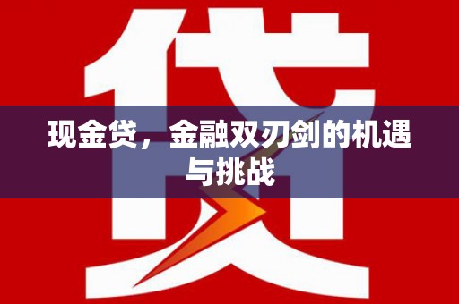 泸西现金贷，金融双刃剑的机遇与挑战