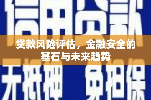 将军贷款风险评估，金融安全的基石与未来趋势