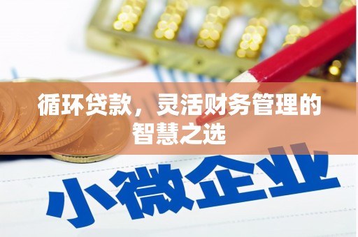 金阳循环贷款，灵活财务管理的智慧之选