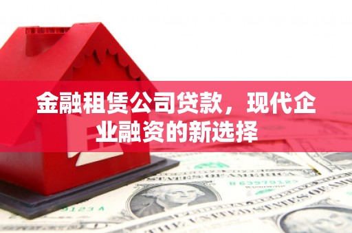 岳塘金融租赁公司贷款，现代企业融资的新选择