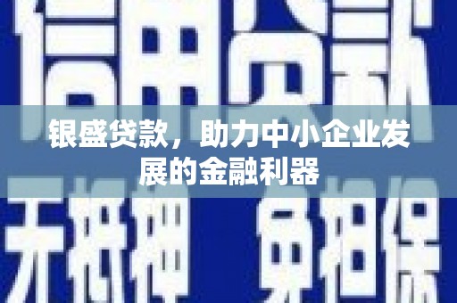 红寺堡银盛贷款，助力中小企业发展的金融利器