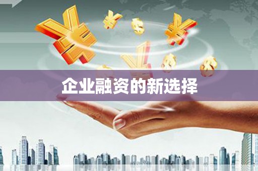 大邑企业融资的新选择