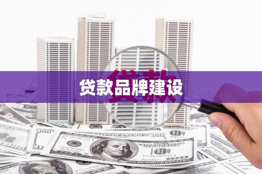 山阳贷款品牌建设