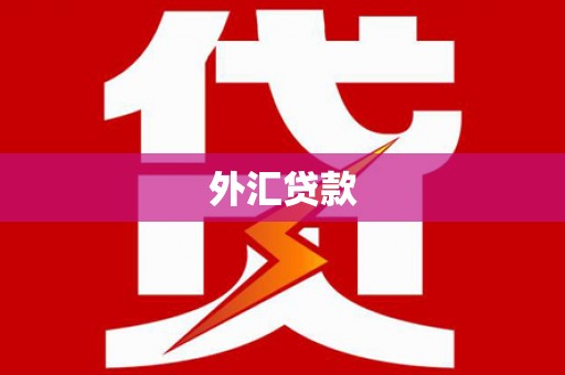 共和外汇贷款