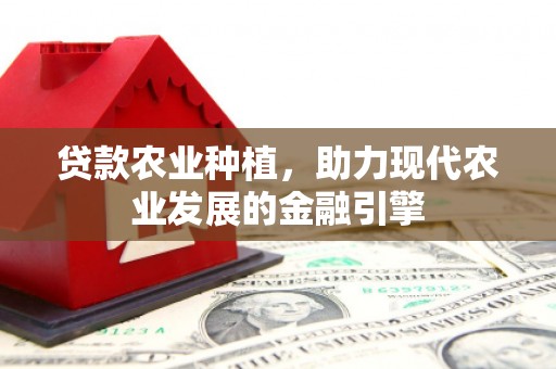 鱼台贷款农业种植，助力现代农业发展的金融引擎