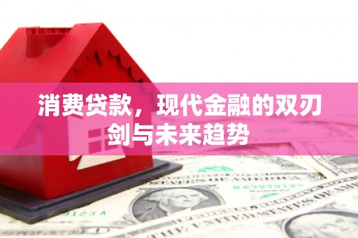 苑里消费贷款，现代金融的双刃剑与未来趋势