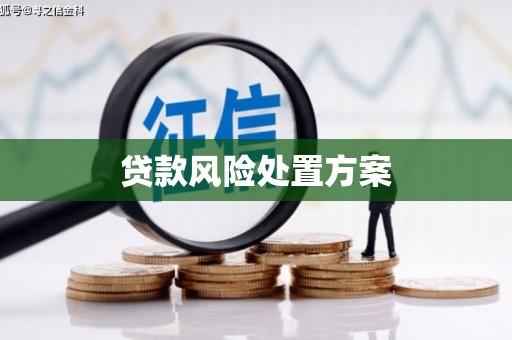 银川贷款风险处置方案
