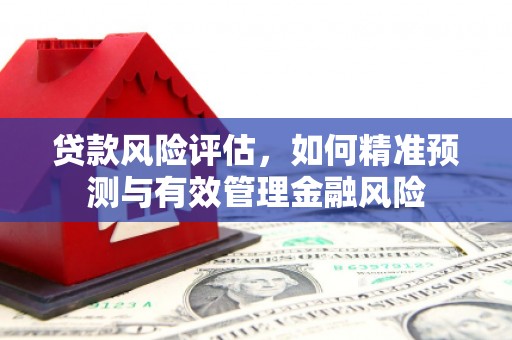 广水贷款风险评估，如何精准预测与有效管理金融风险