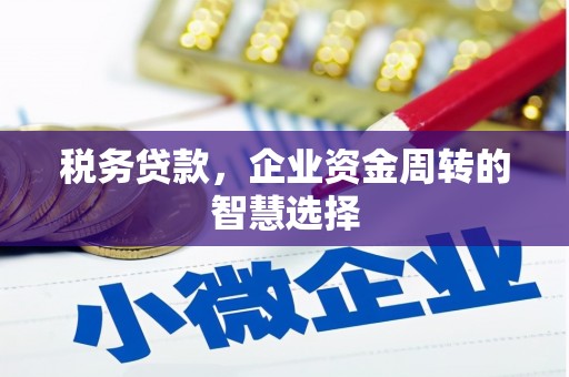 镇雄税务贷款，企业资金周转的智慧选择