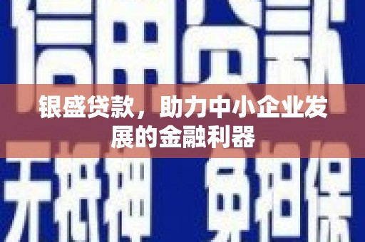 凉山银盛贷款，助力中小企业发展的金融利器