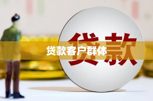 安定贷款客户群体