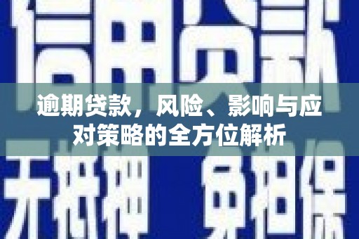 林甸逾期贷款，风险、影响与应对策略的全方位解析