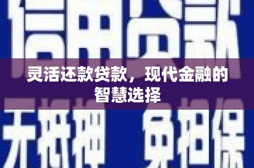 横县灵活还款贷款，现代金融的智慧选择