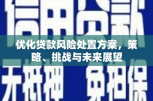 天河优化贷款风险处置方案，策略、挑战与未来展望