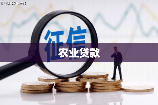 新泰农业贷款