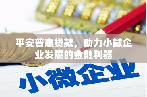 芙蓉平安普惠贷款，助力小微企业发展的金融利器