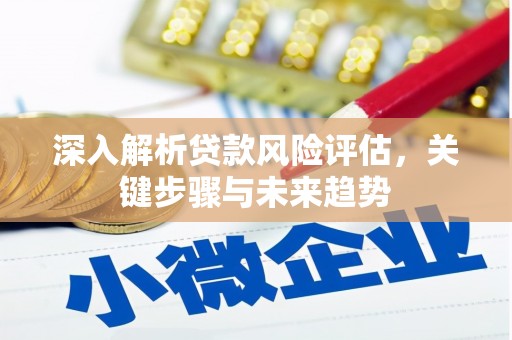 攀枝花深入解析贷款风险评估，关键步骤与未来趋势