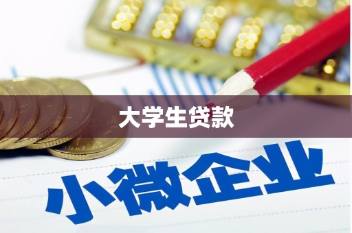 武川大学生贷款