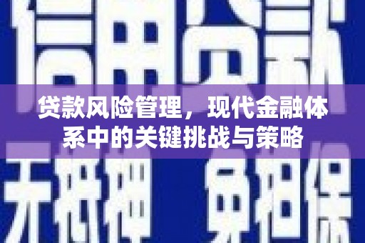 涿州贷款风险管理，现代金融体系中的关键挑战与策略