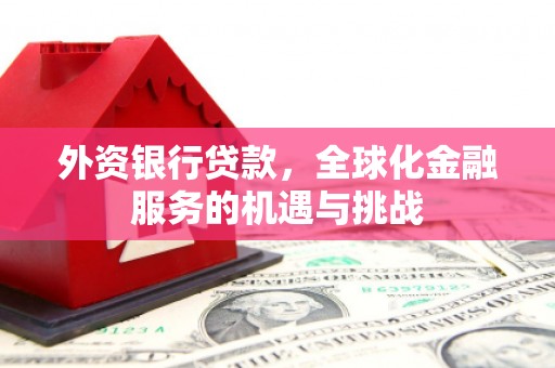 树林外资银行贷款，全球化金融服务的机遇与挑战