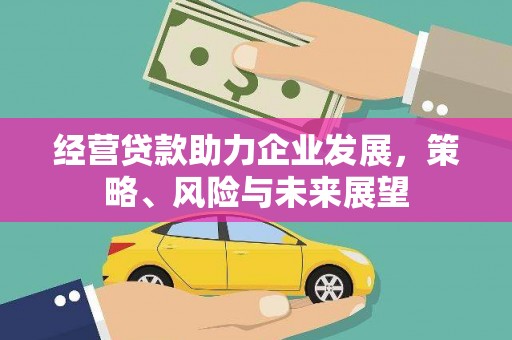 金安经营贷款助力企业发展，策略、风险与未来展望