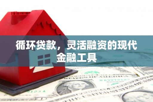 越城循环贷款，灵活融资的现代金融工具