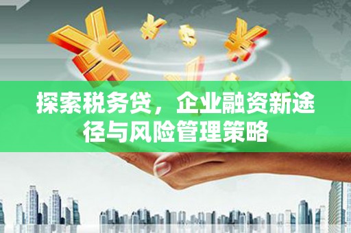 新平探索税务贷，企业融资新途径与风险管理策略