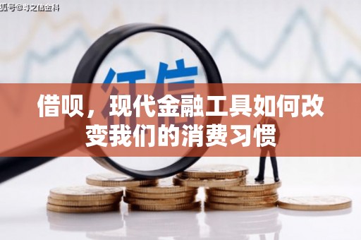 瑞昌借呗，现代金融工具如何改变我们的消费习惯