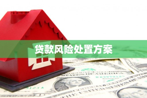 三水贷款风险处置方案