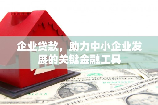 蔡甸企业贷款，助力中小企业发展的关键金融工具