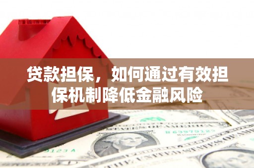 南靖贷款担保，如何通过有效担保机制降低金融风险