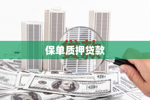 乌来保单质押贷款