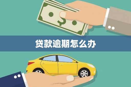 花溪贷款逾期怎么办