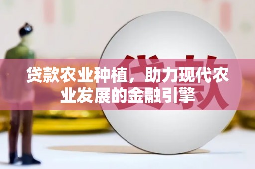 泉州贷款农业种植，助力现代农业发展的金融引擎