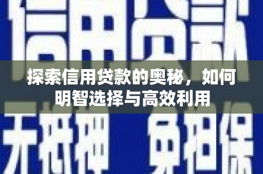 苍南探索信用贷款的奥秘，如何明智选择与高效利用