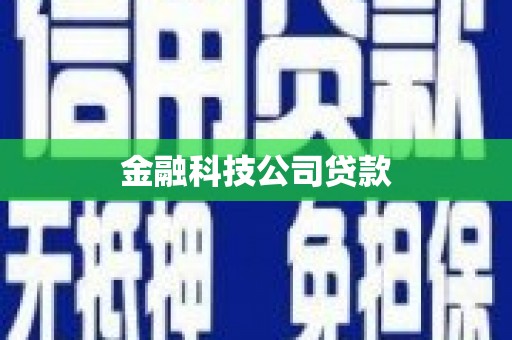武汉金融科技公司贷款