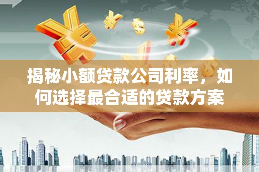 北塘揭秘小额贷款公司利率，如何选择最合适的贷款方案