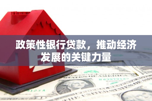 兴山政策性银行贷款，推动经济发展的关键力量